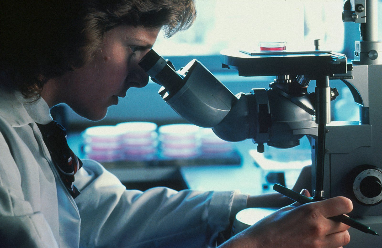 A researcher examining a sample under a microscope