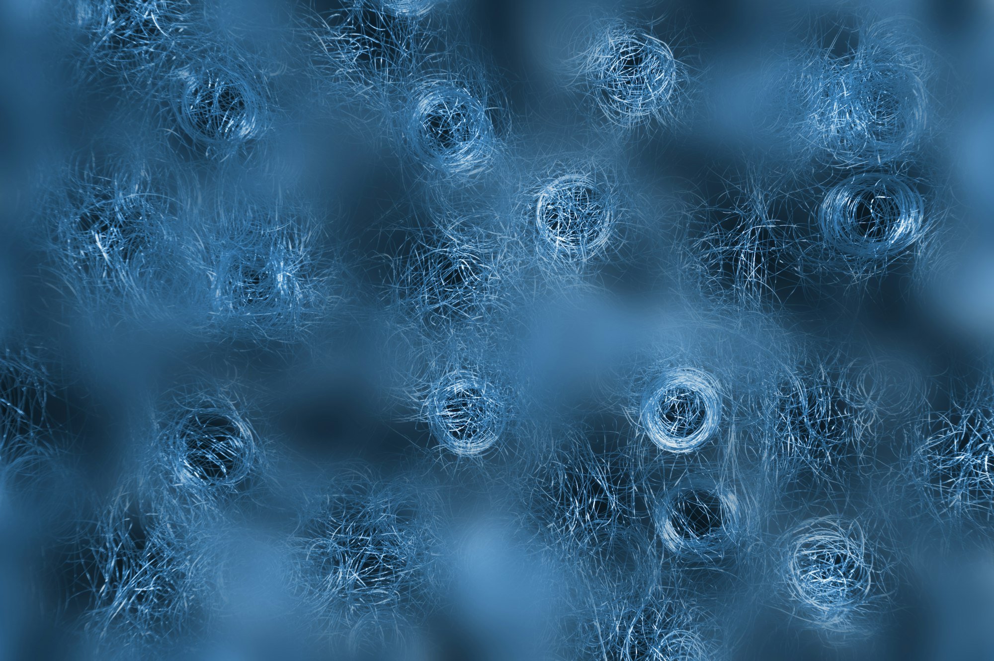 Microscopy image of cells used in laboratory research