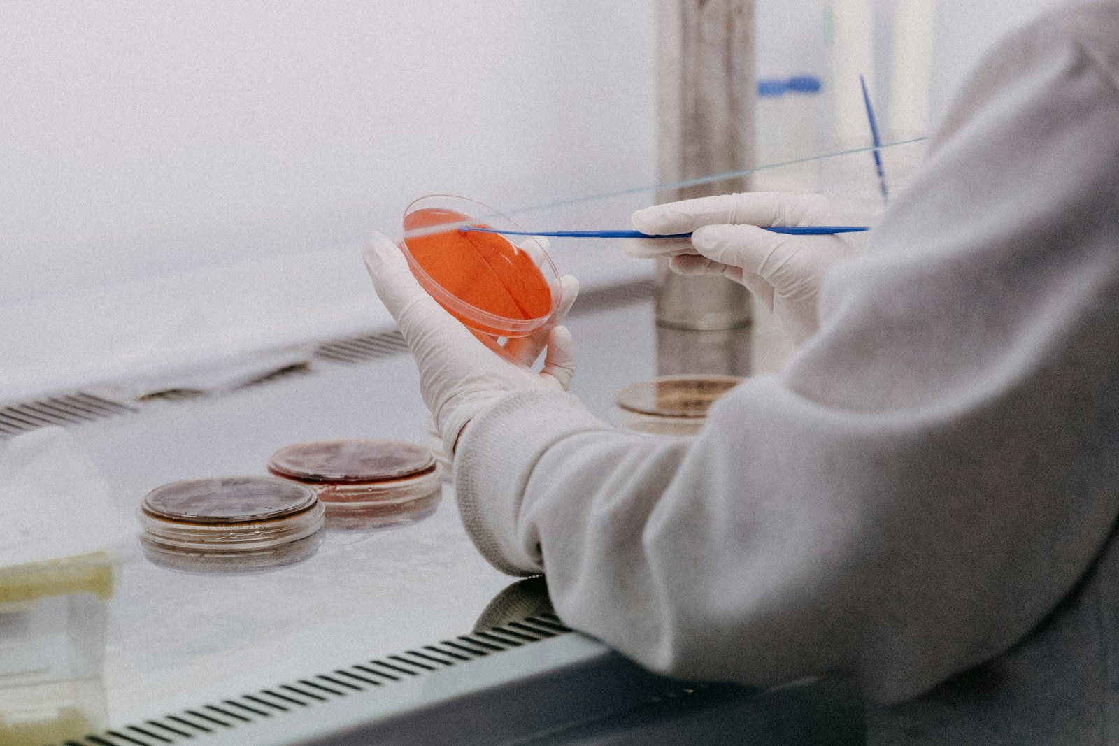A specimen being processed in a laboratory