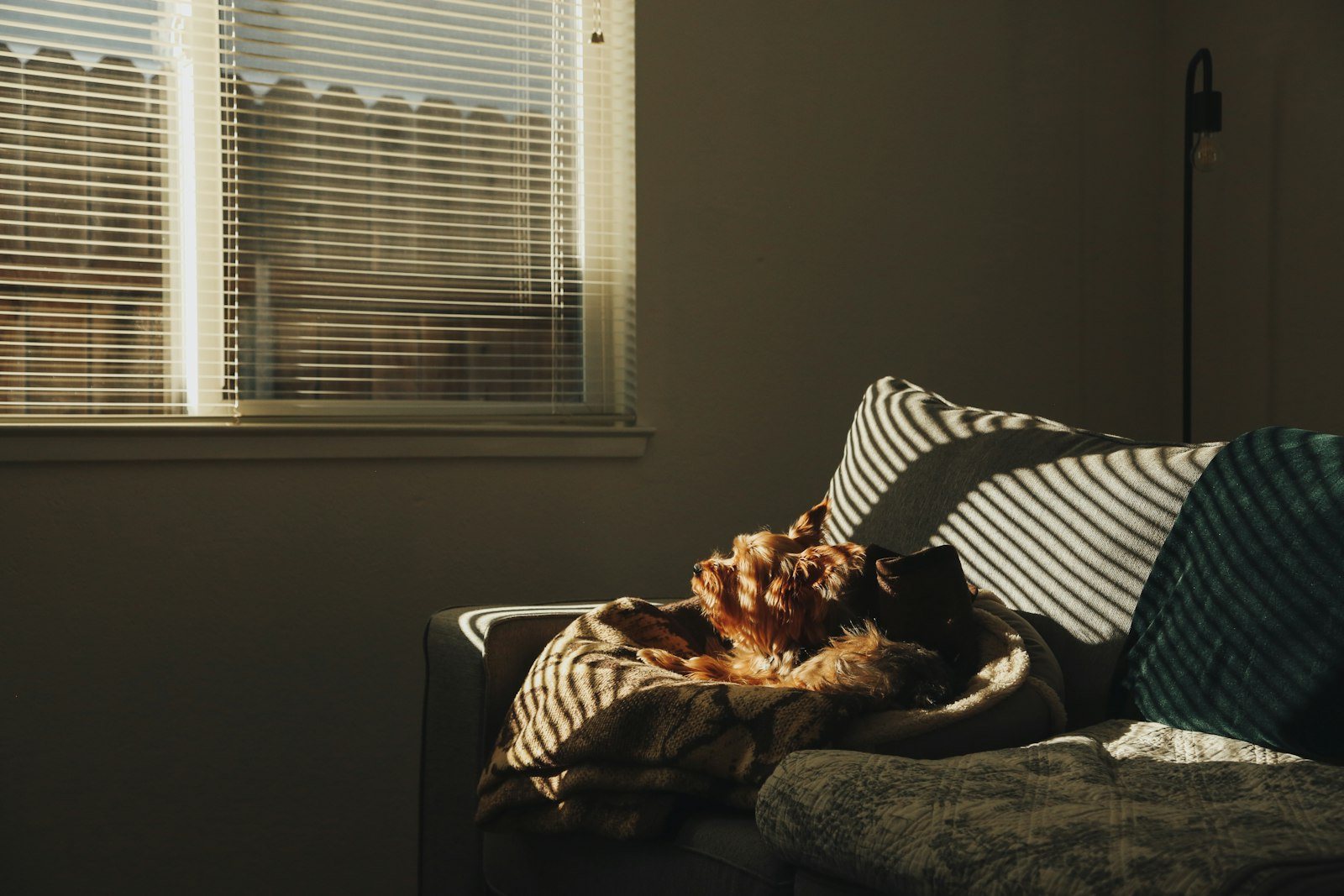 A person resting at home