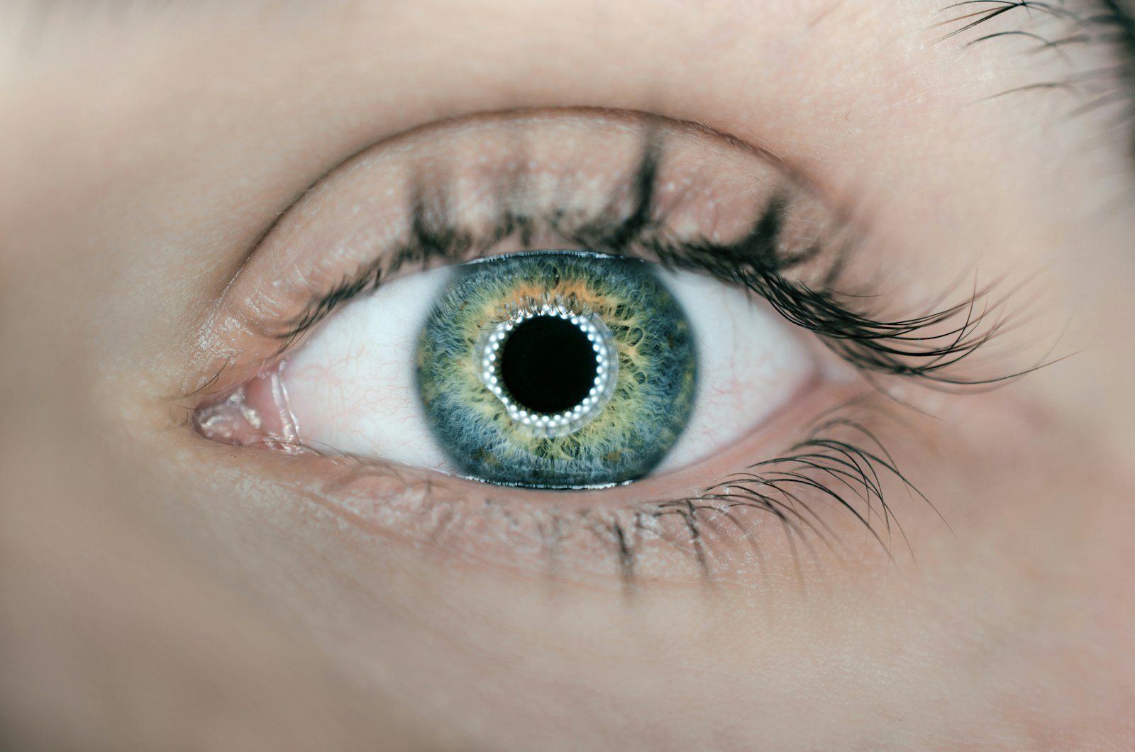 A close view of a human eye