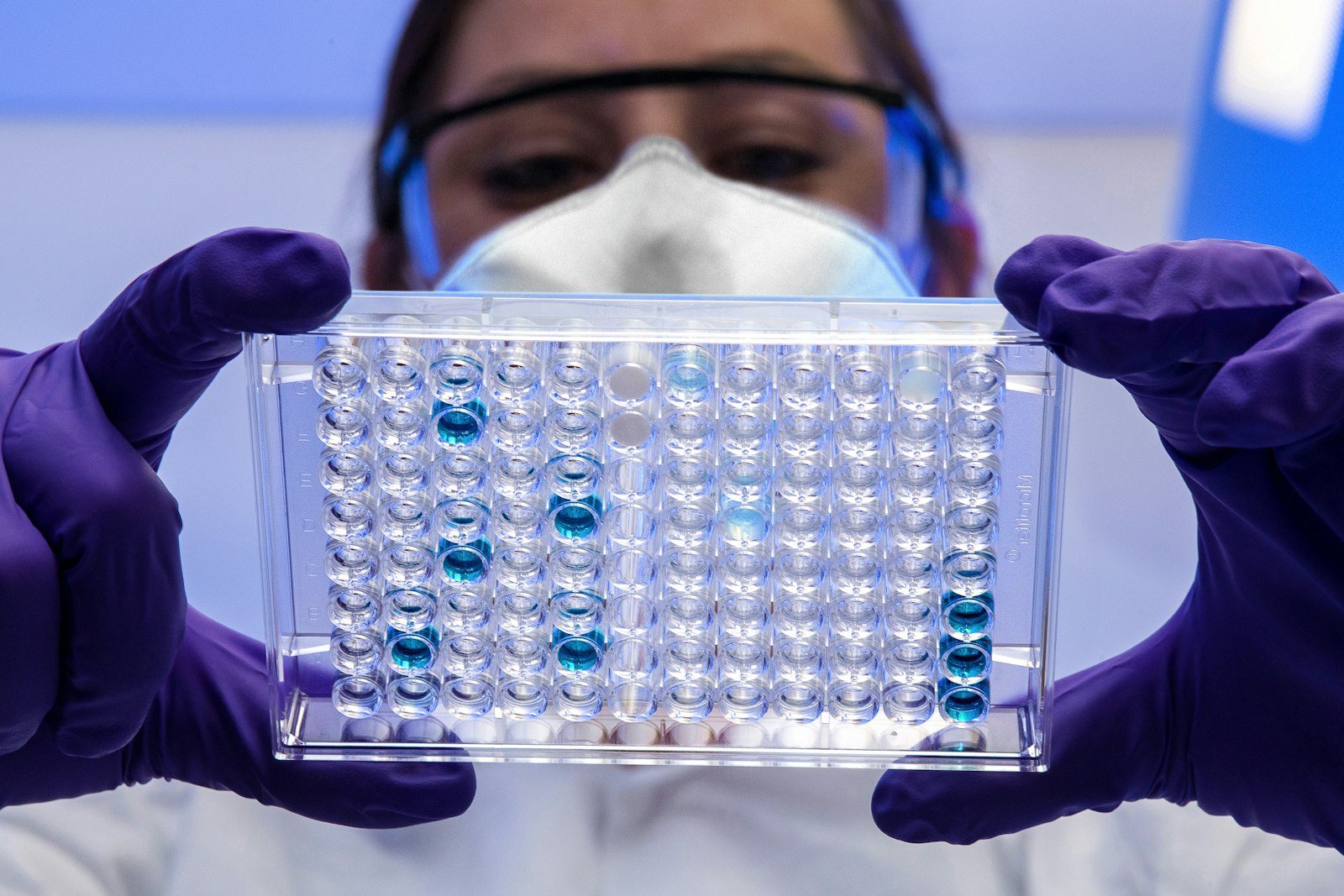A gloved technician holding a laboratory sample plate