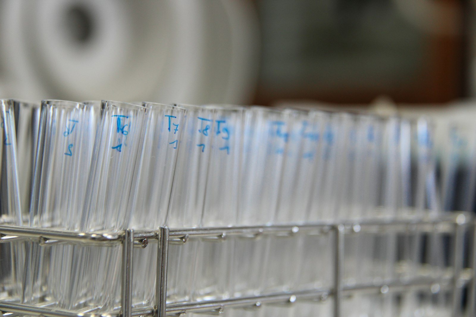 Test tubes arranged in a laboratory rack
